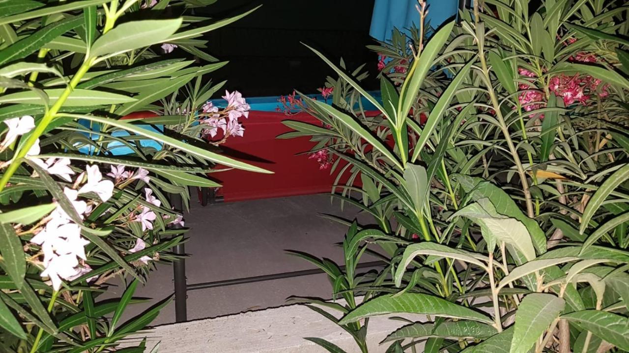 Apartments Star With Pool ビオグラード・ナ・モル エクステリア 写真