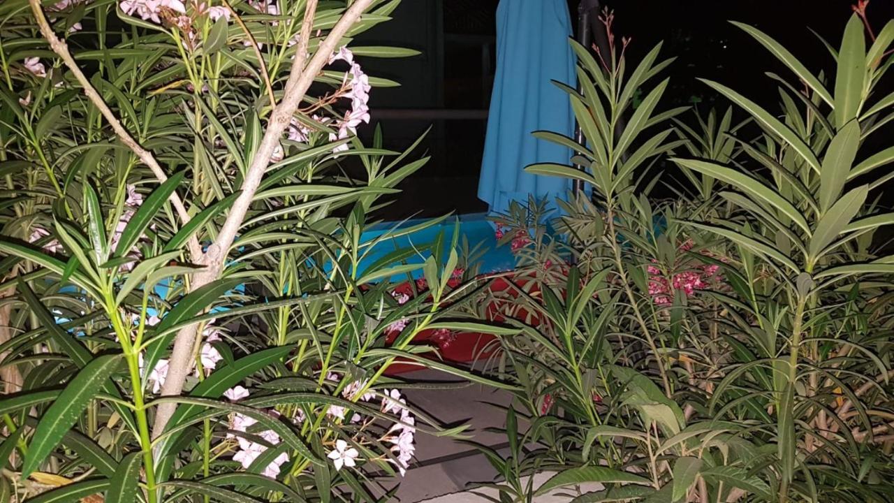 Apartments Star With Pool ビオグラード・ナ・モル エクステリア 写真